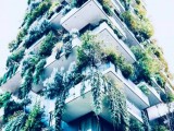 Озеленение фасадов зданий – по новому национальному стандарту